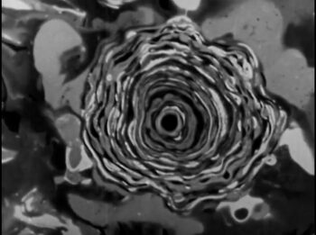 Oskar Fischinger: Ten Films - Image 9